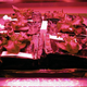Illustration for article titled Astronauts Plant Largest Space Garden On International Space Station